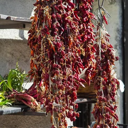 Bed & Breakfast Residenza Danidea Tropea