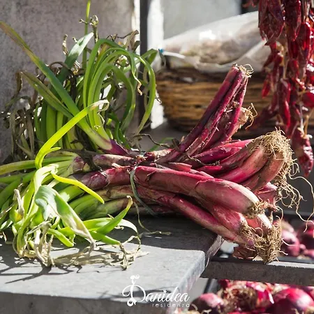 Residenza Danidea 4*