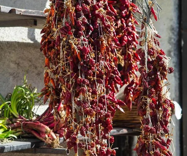 Alojamento de Acomodação e Pequeno-almoço Residenza Danidea Tropea