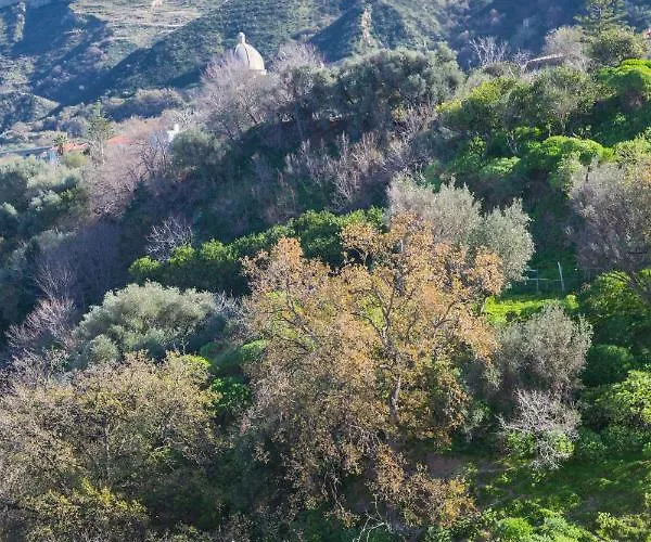 Residenza Danidea Bed & Breakfast