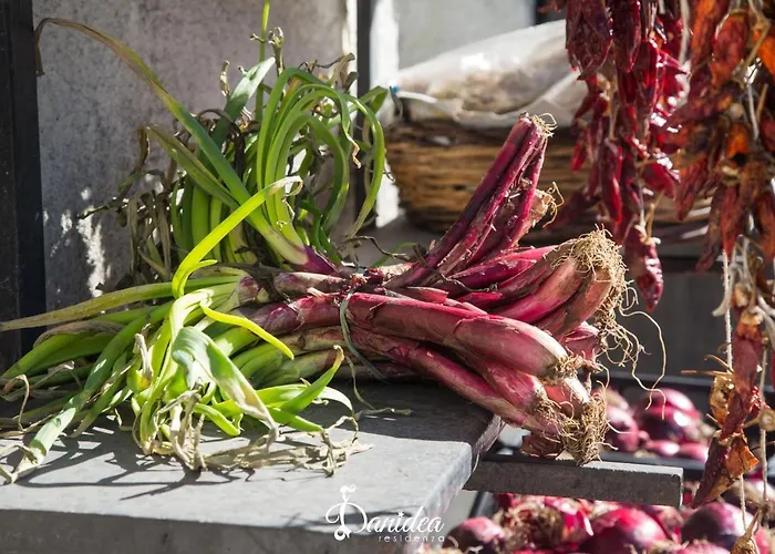 Residenza Danidea 4*